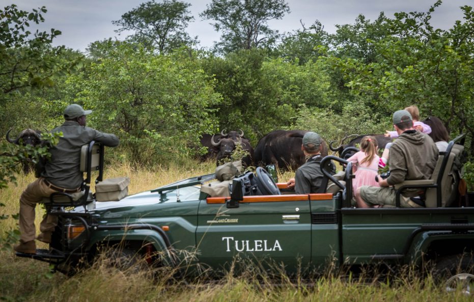 Tulela Safari Lodge