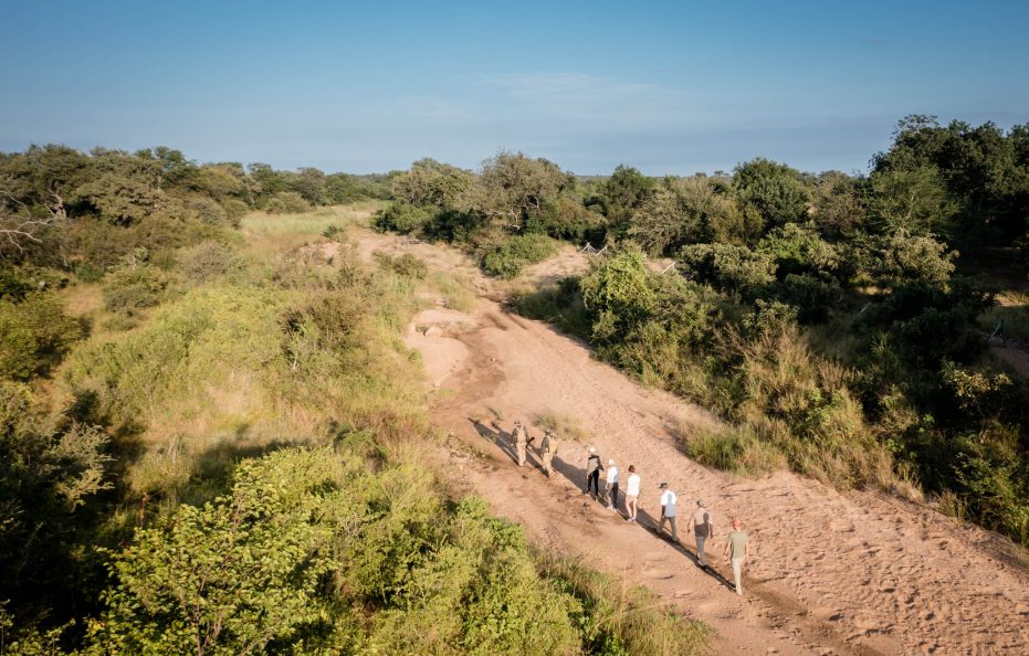 Tulela Safari Lodge