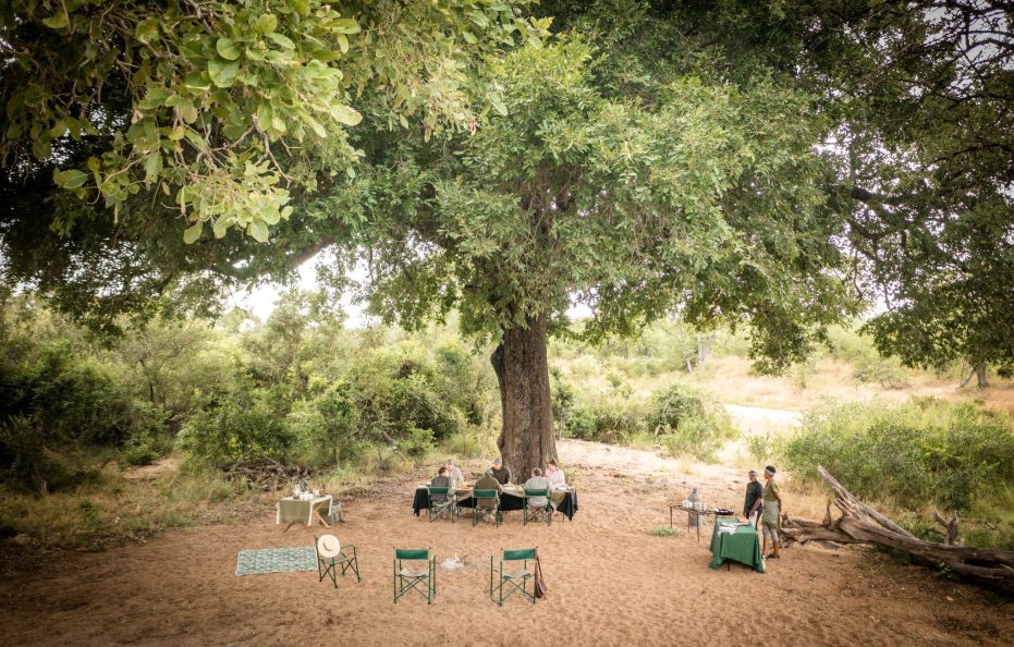 Tulela Safari Lodge