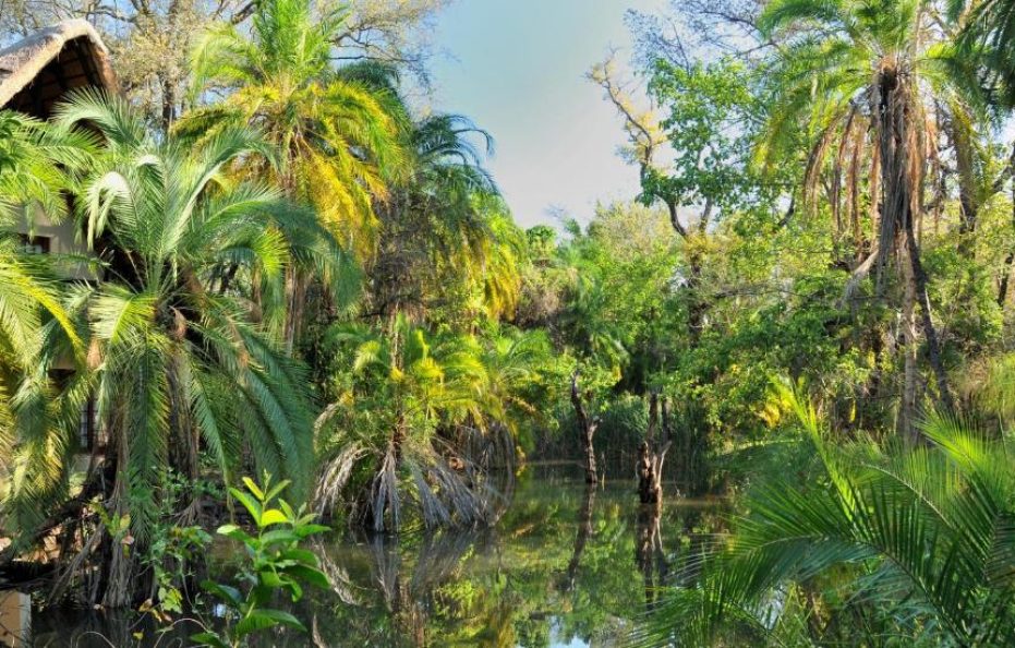 The Victoria Falls Waterfront Riverside Room with River View