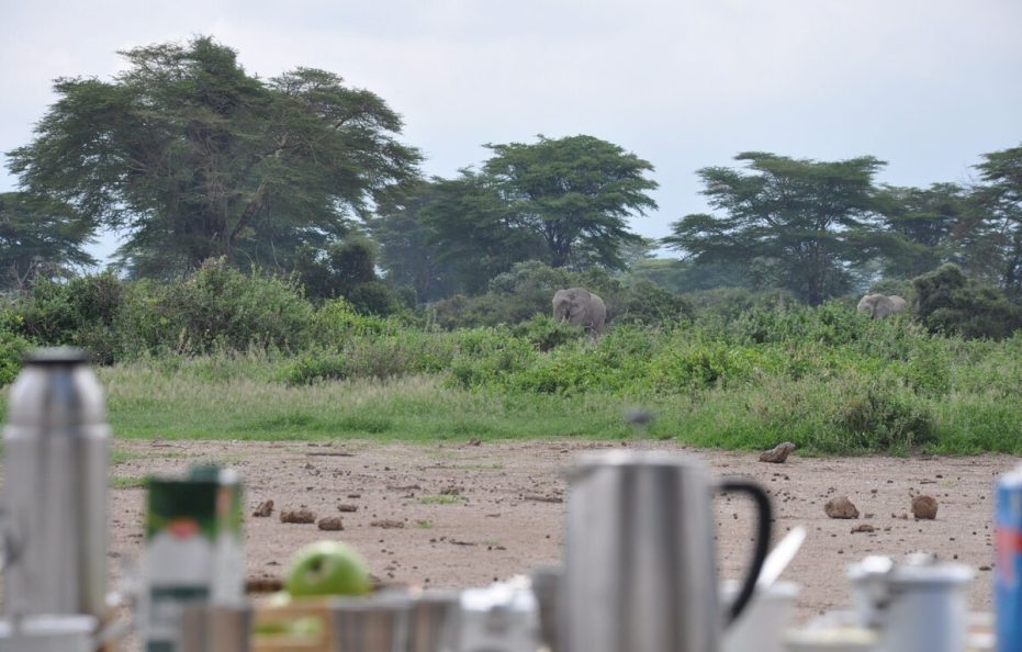 Shumata Camp