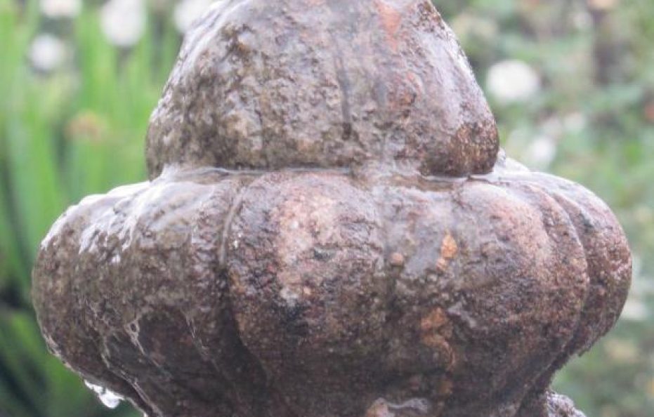 Emafini Country Lodge