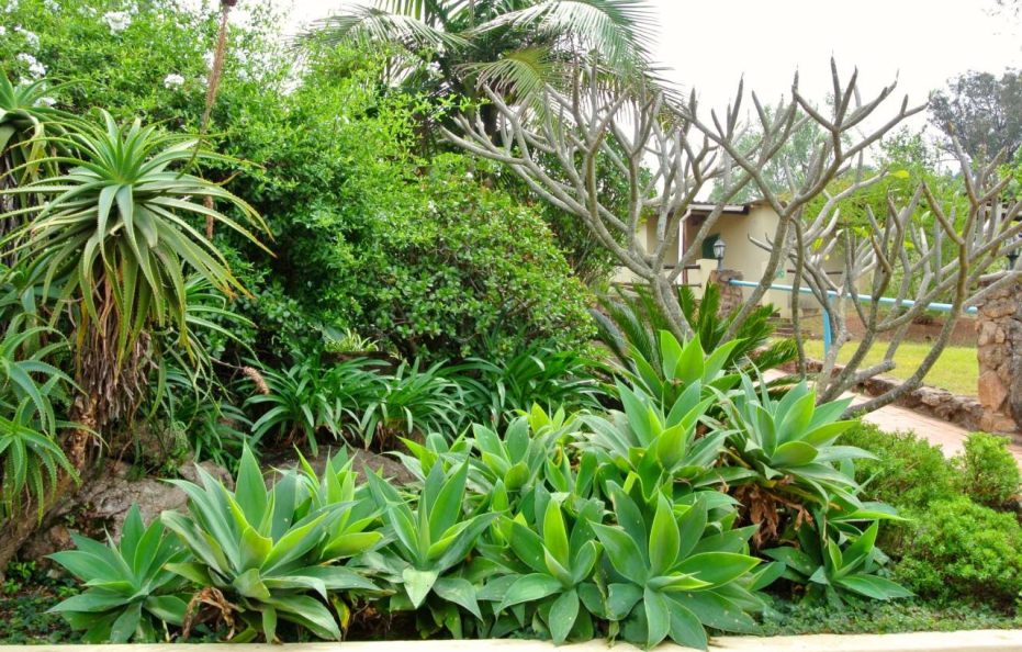 Emafini Country Lodge