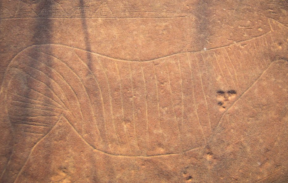 African Hills Safari Lodge & Spa