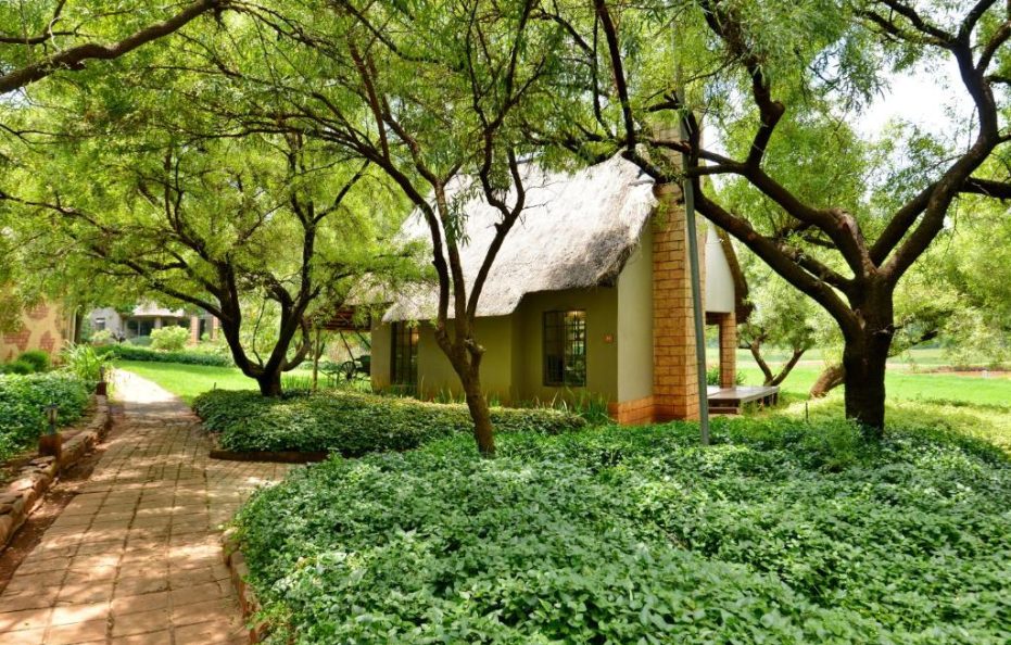 African Hills Deluxe Rooms