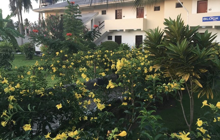 Oceanic Bay Hotel