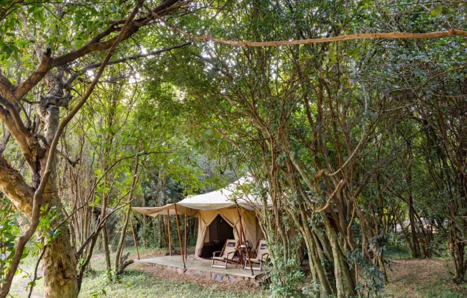Sentinel Mara Camp