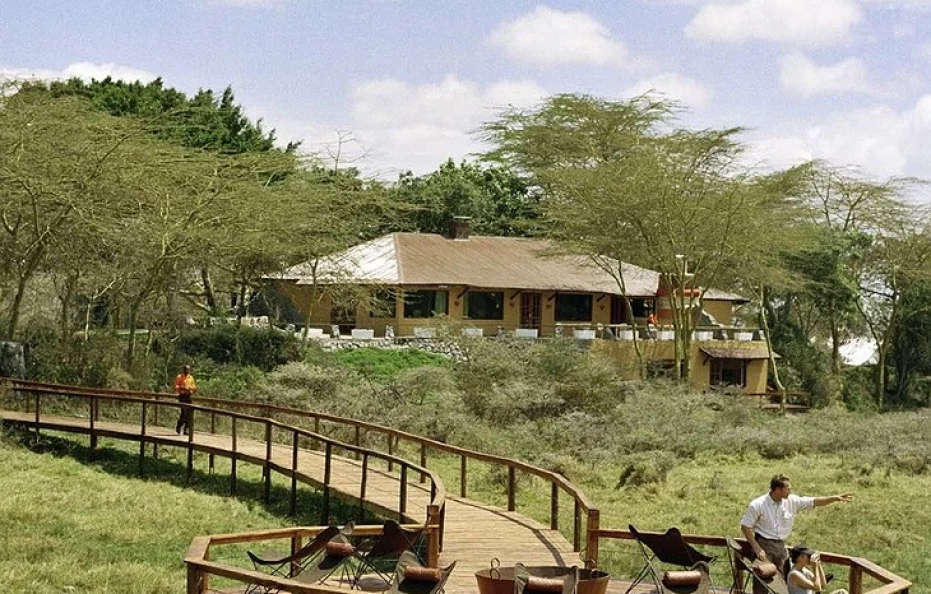 Hatari Junior Suites