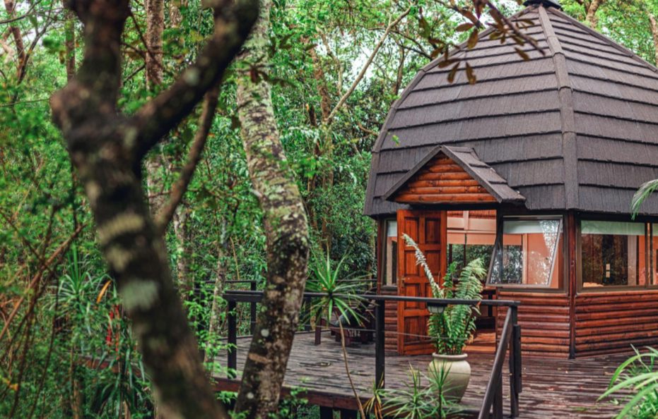 Serenity Luxury Forest & River View Suites