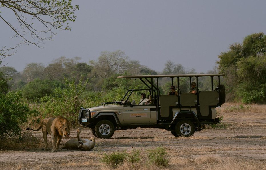 Muzimu Lodge Gorongosa