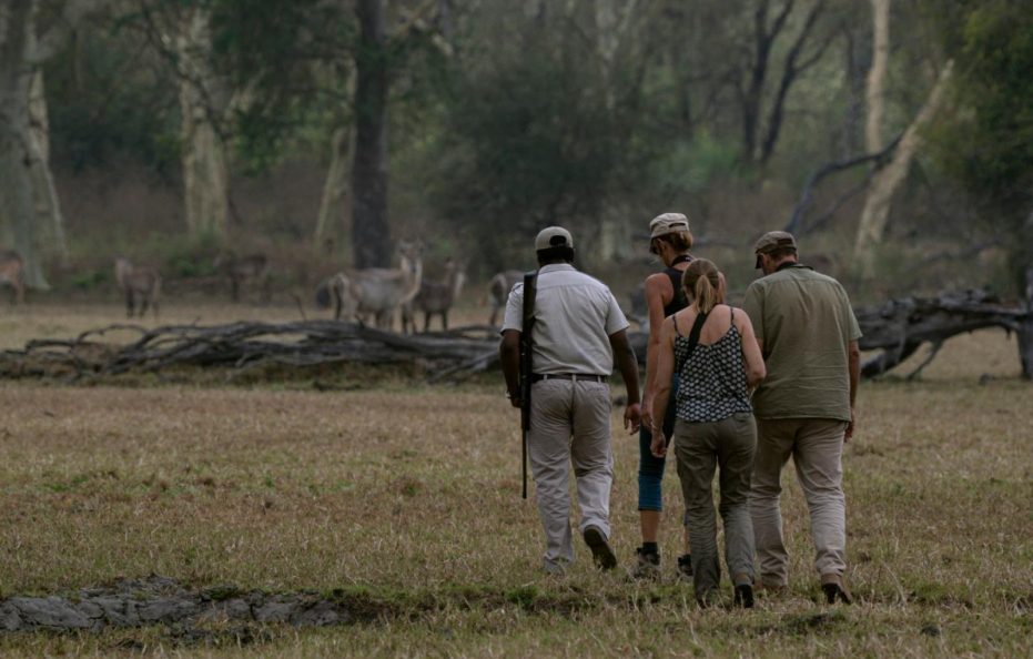 Muzimu Lodge Gorongosa