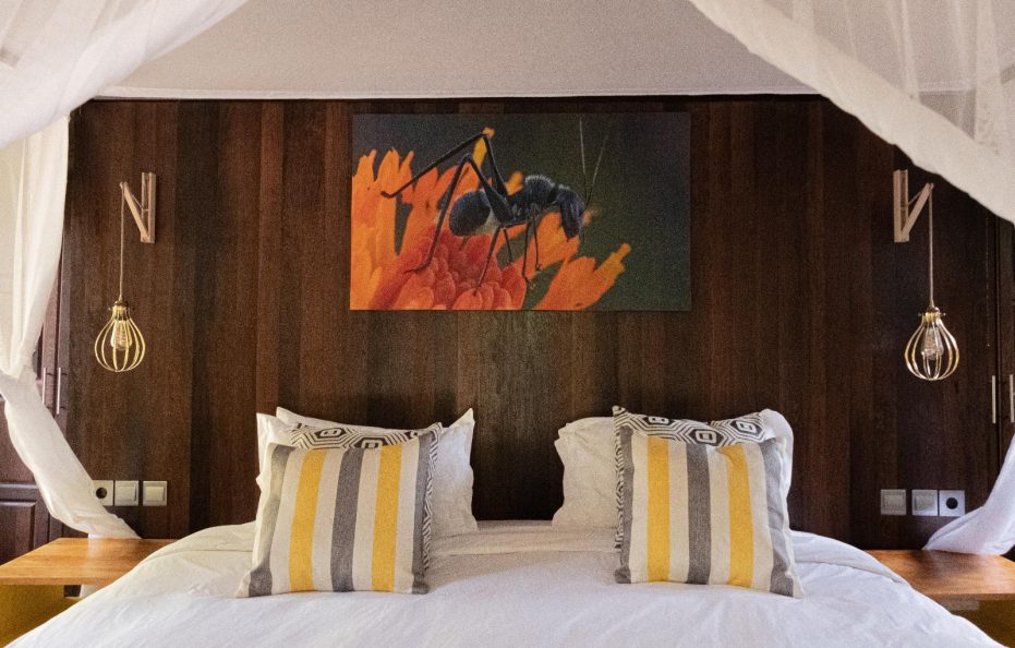 Luxury East African Style Tent 2