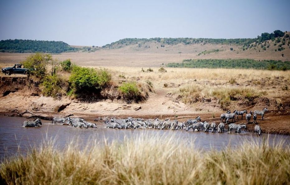 Sentinel Mara Camp