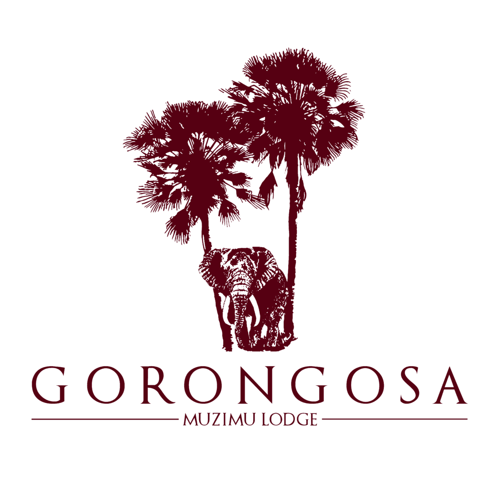 Muzimu Lodge Gorongosa