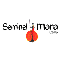 Sentinel Mara Camp