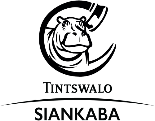 Tintswalo Siankaba