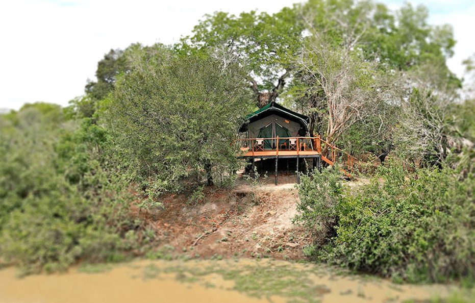 Selous Impala Tented Camp