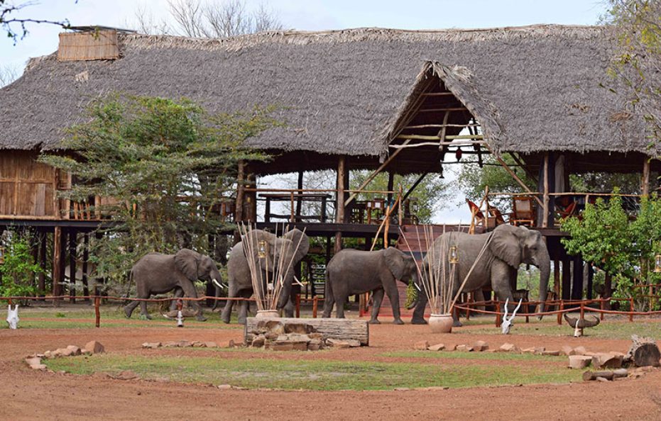 Selous Impala Tented Camp