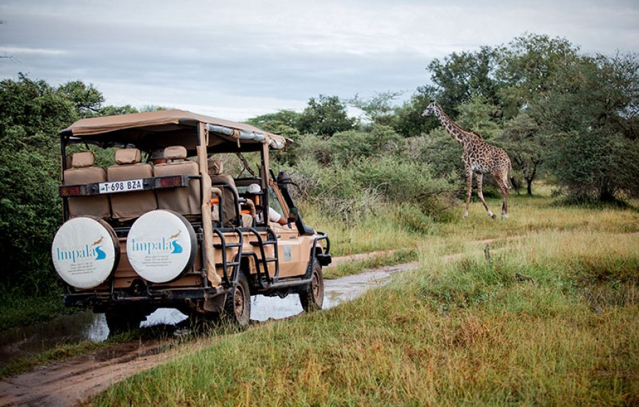 Selous Impala Tented Camp