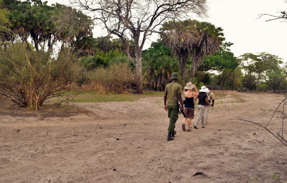 Selous Impala Tented Camp