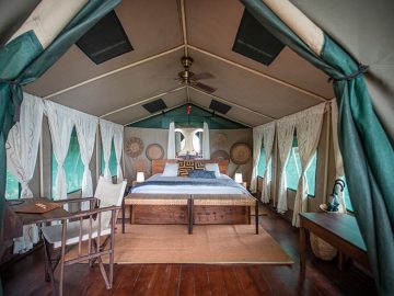 Selous Impala Camp tent
