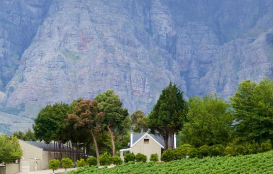 Alluvia Boutique Avalon Villa