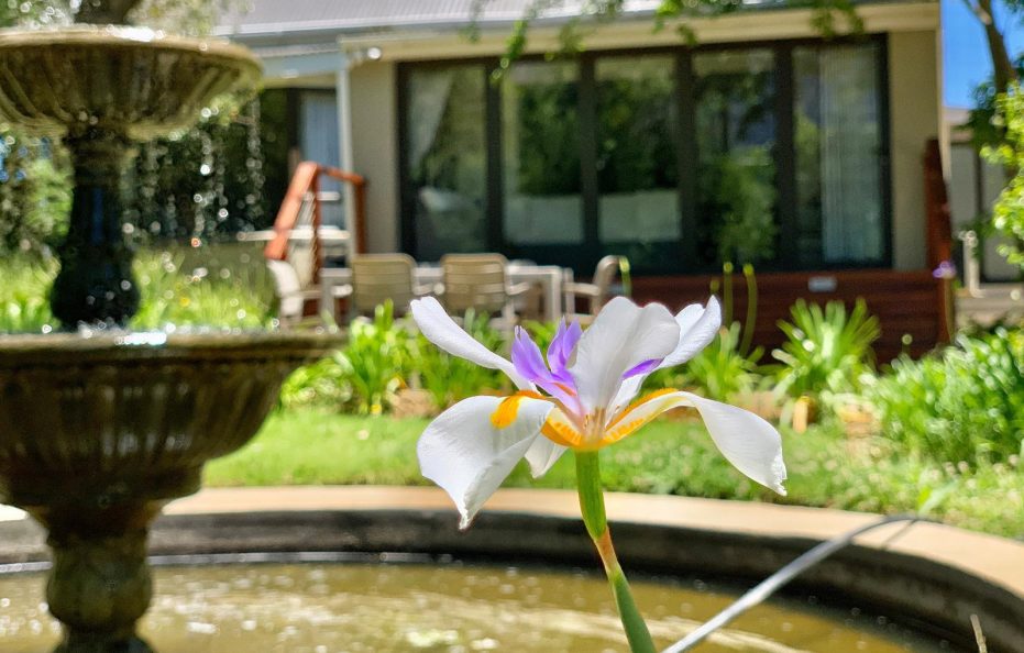 Alluvia Boutique Avalon Villa