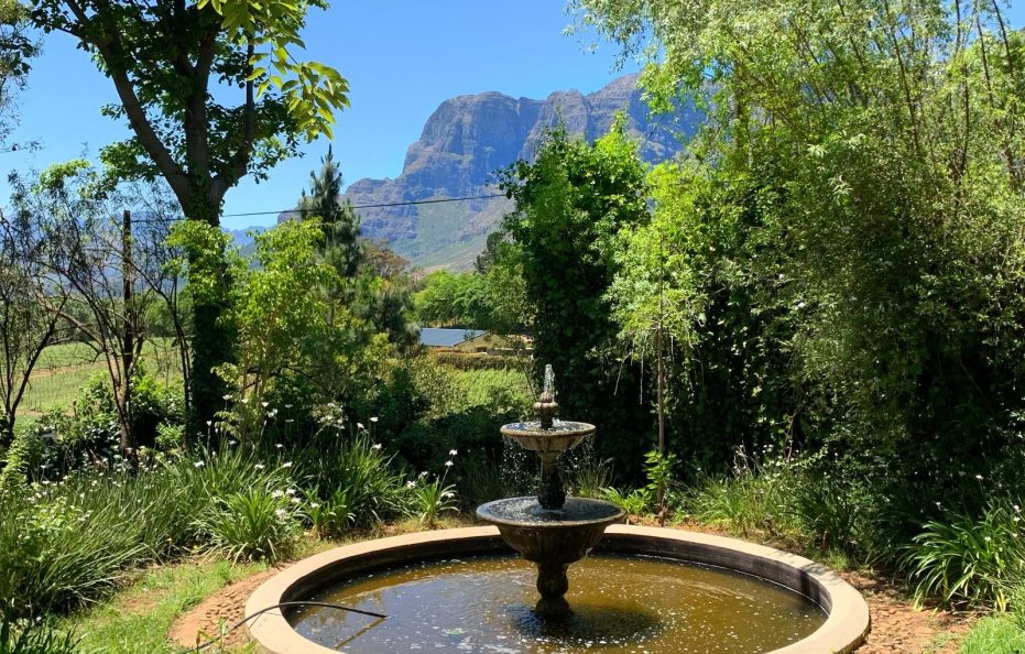 Alluvia Boutique Avalon Villa