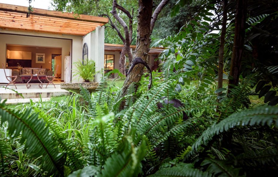 Khaya Ndlovu Garden Family Suite