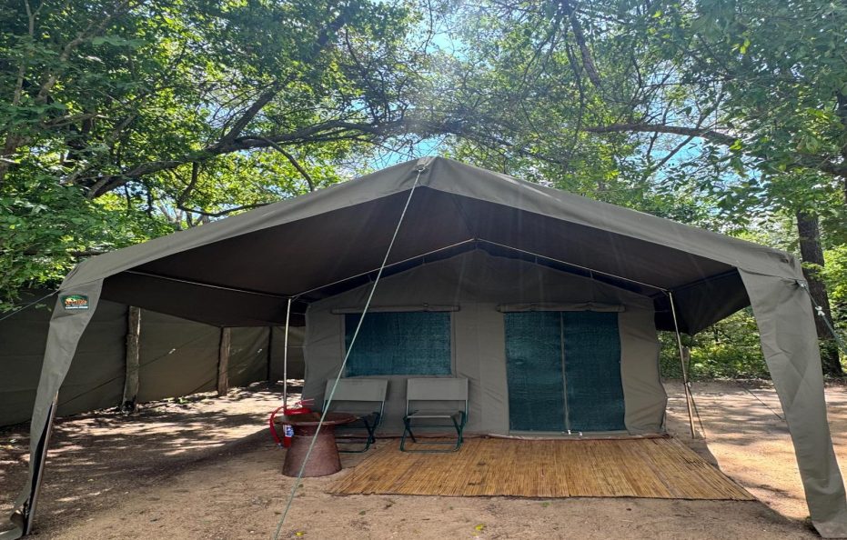 Wild Camp Canvas Tents