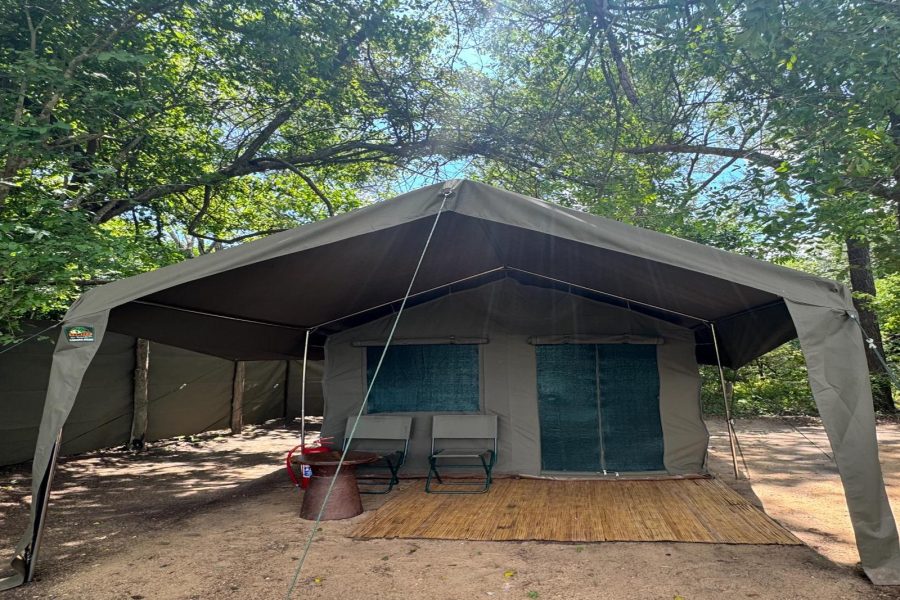 Gorongosa – Wild Camp
