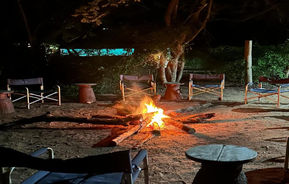 Gorongosa – Wild Camp