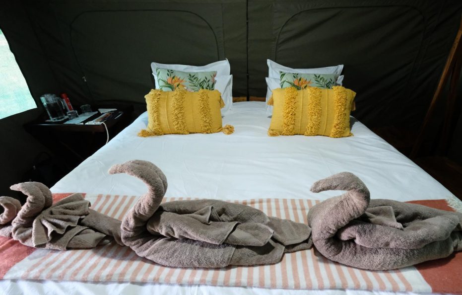 Wild Camp Canvas Tents