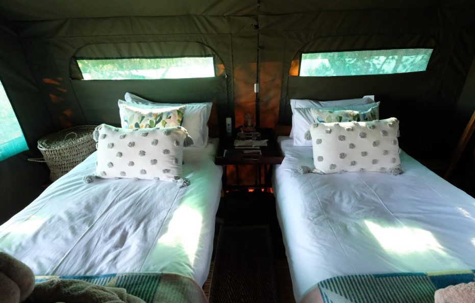 Wild Camp Canvas Tents