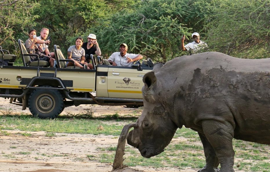 Khaya Ndlovu Safari Manor