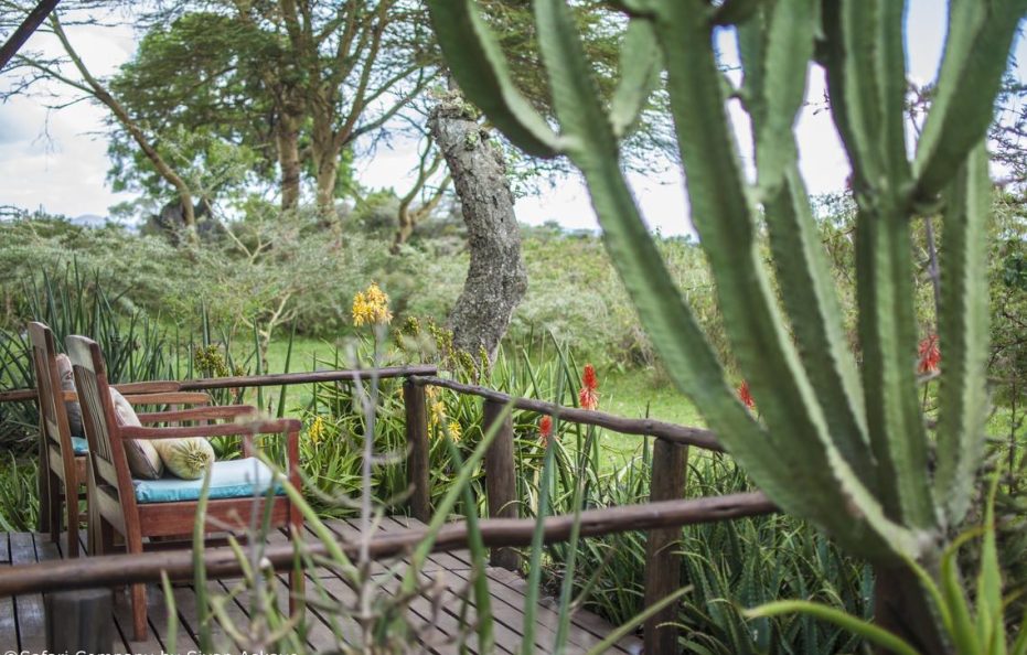 Hatari Suites