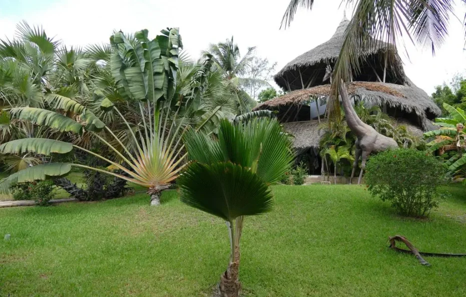 Garden Villa 3 Bedroom