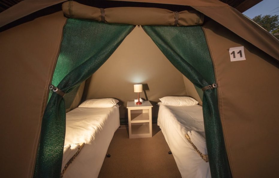Shearwater’s Dome Tent Twin