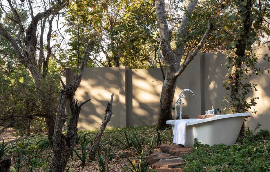 Ndlovu Safari Lodge Luxury Suites