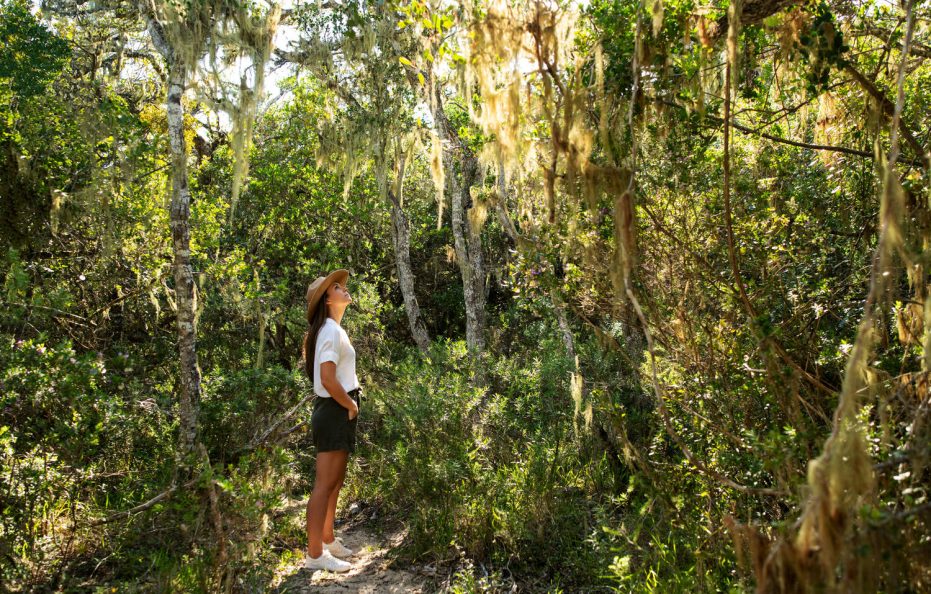 Oceana Beach & Wildlife Reserve