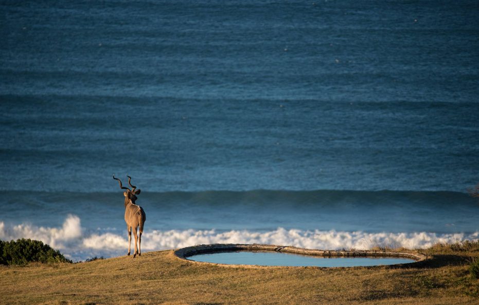 Oceana Beach & Wildlife Reserve