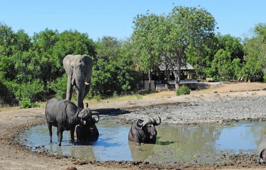Tangala Safari Camp