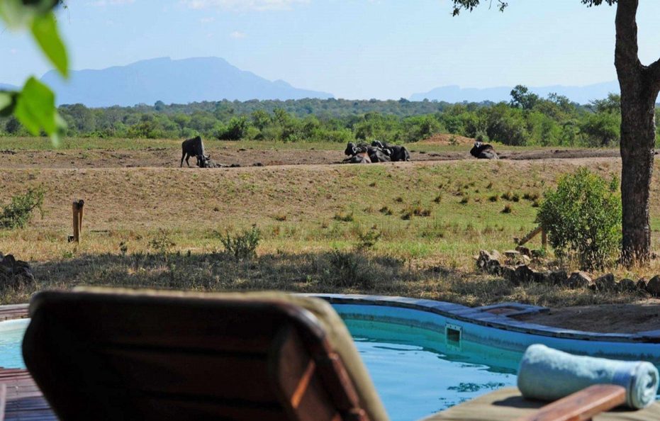 Tangala Safari Camp