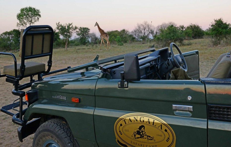 Tangala Safari Camp