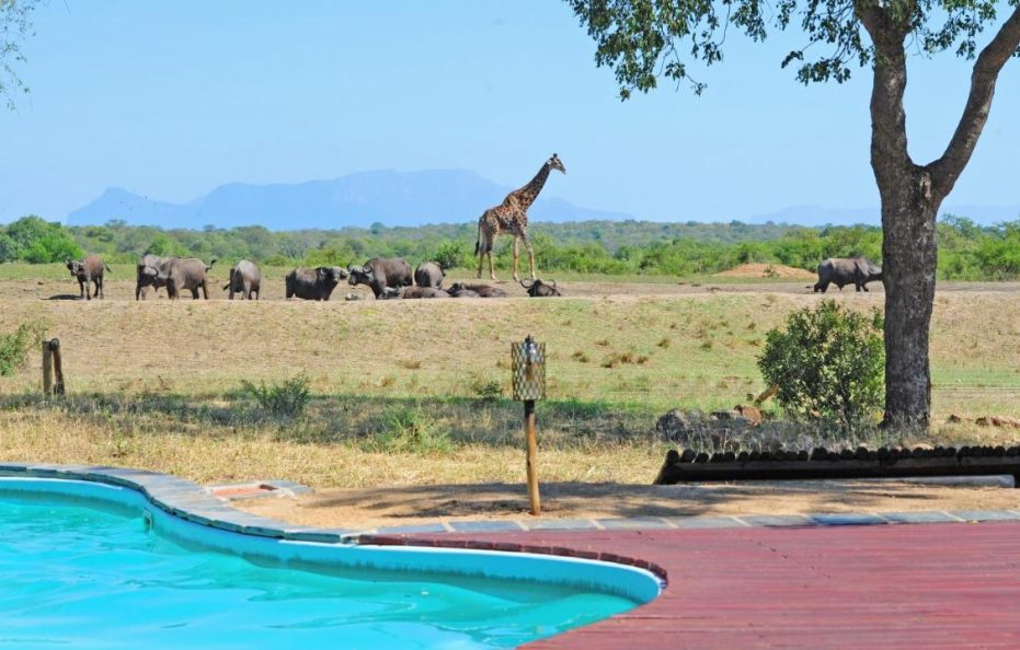 Tangala Safari Camp