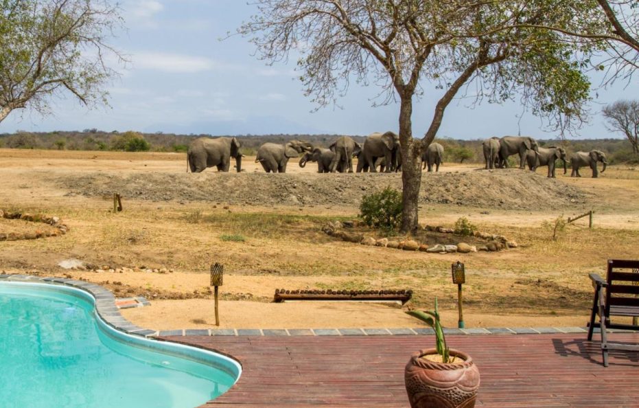 Tangala Safari Camp