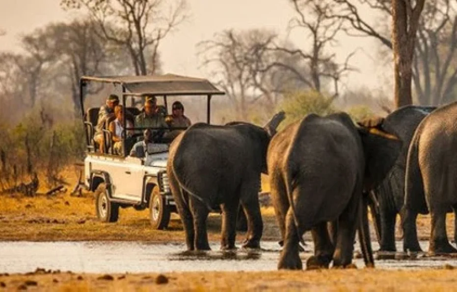 Ngoma Zanga Lodge
