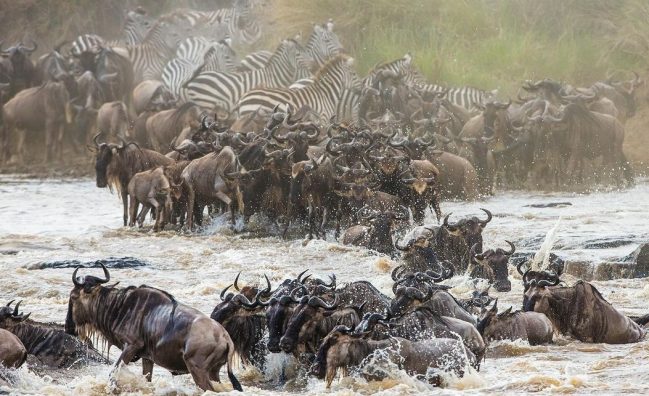 7-Day Serengeti Migration Safari