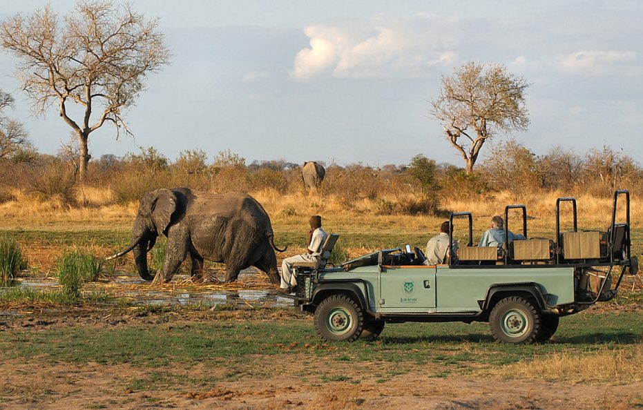 Lukimbi Safari Lodge