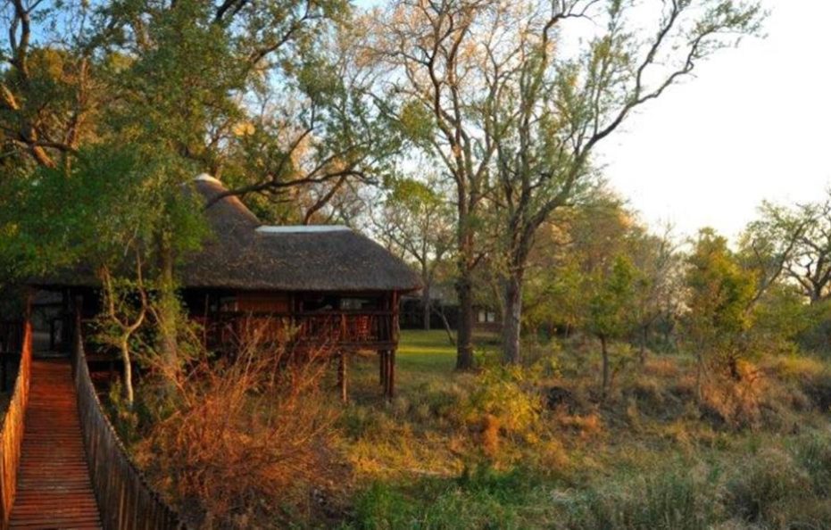 Idube Game Reserve